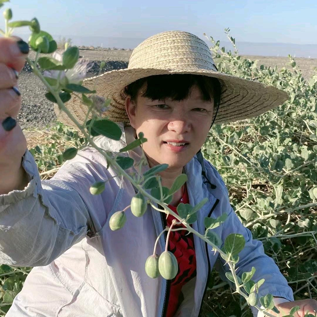 丽姐小院