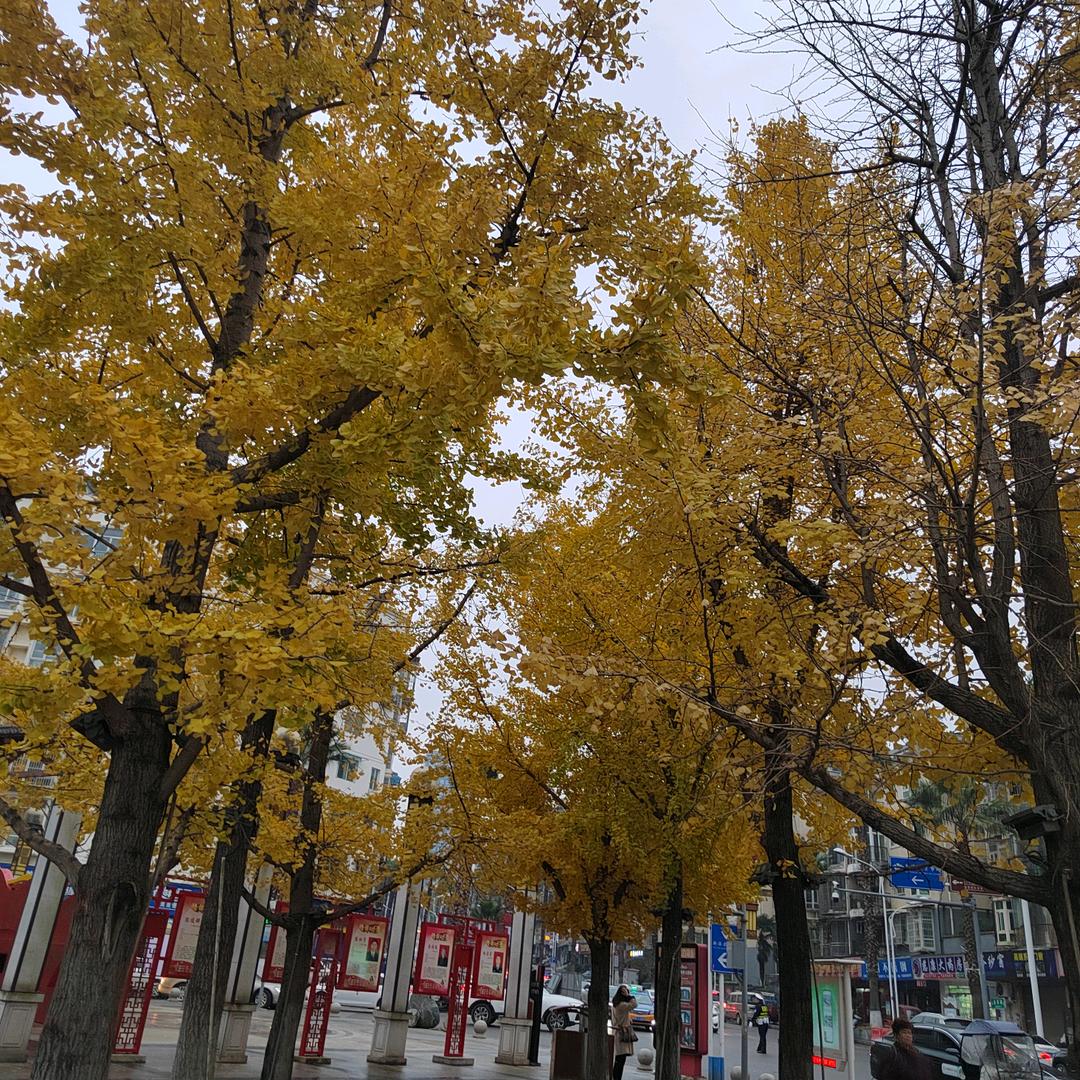 忘掉过去，开开心心毎一天