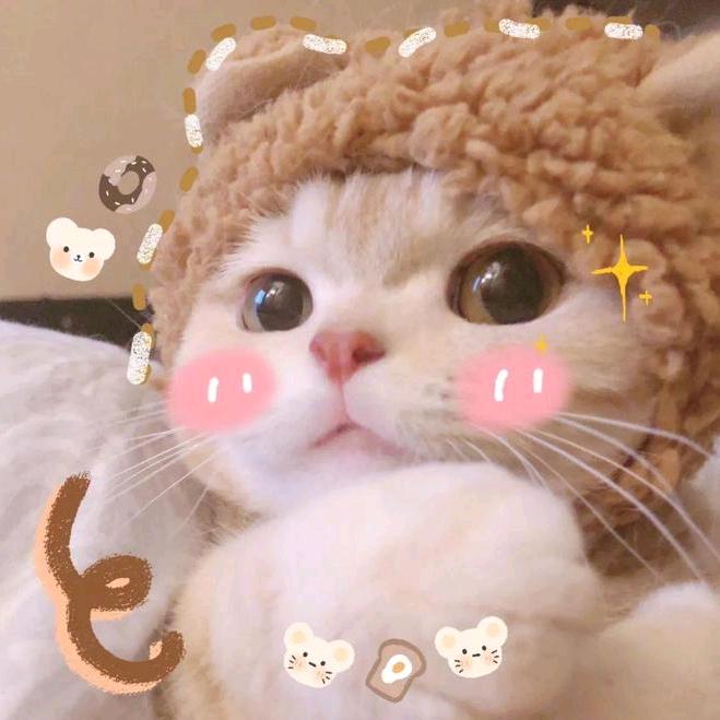 冰心（拒绝私聊)