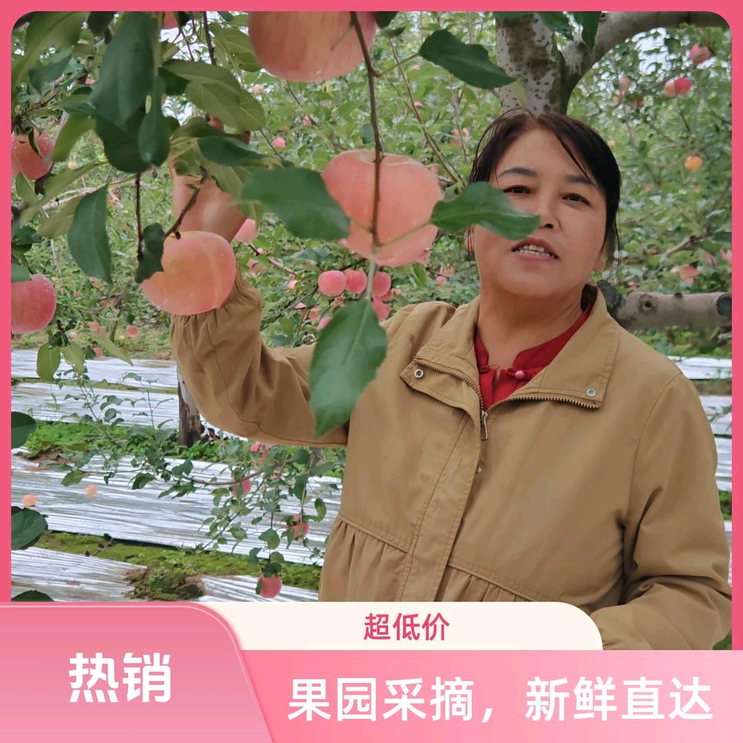 萍姐甄选号