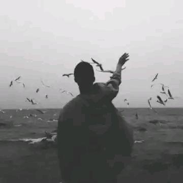Dorom-若情