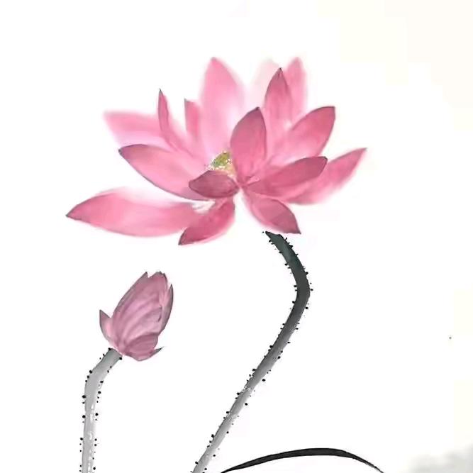 荷