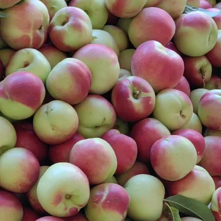 天池