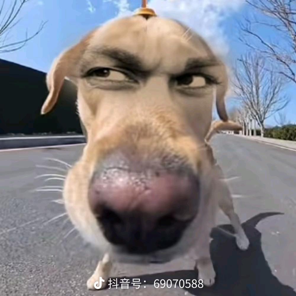 xiskndbdi00469