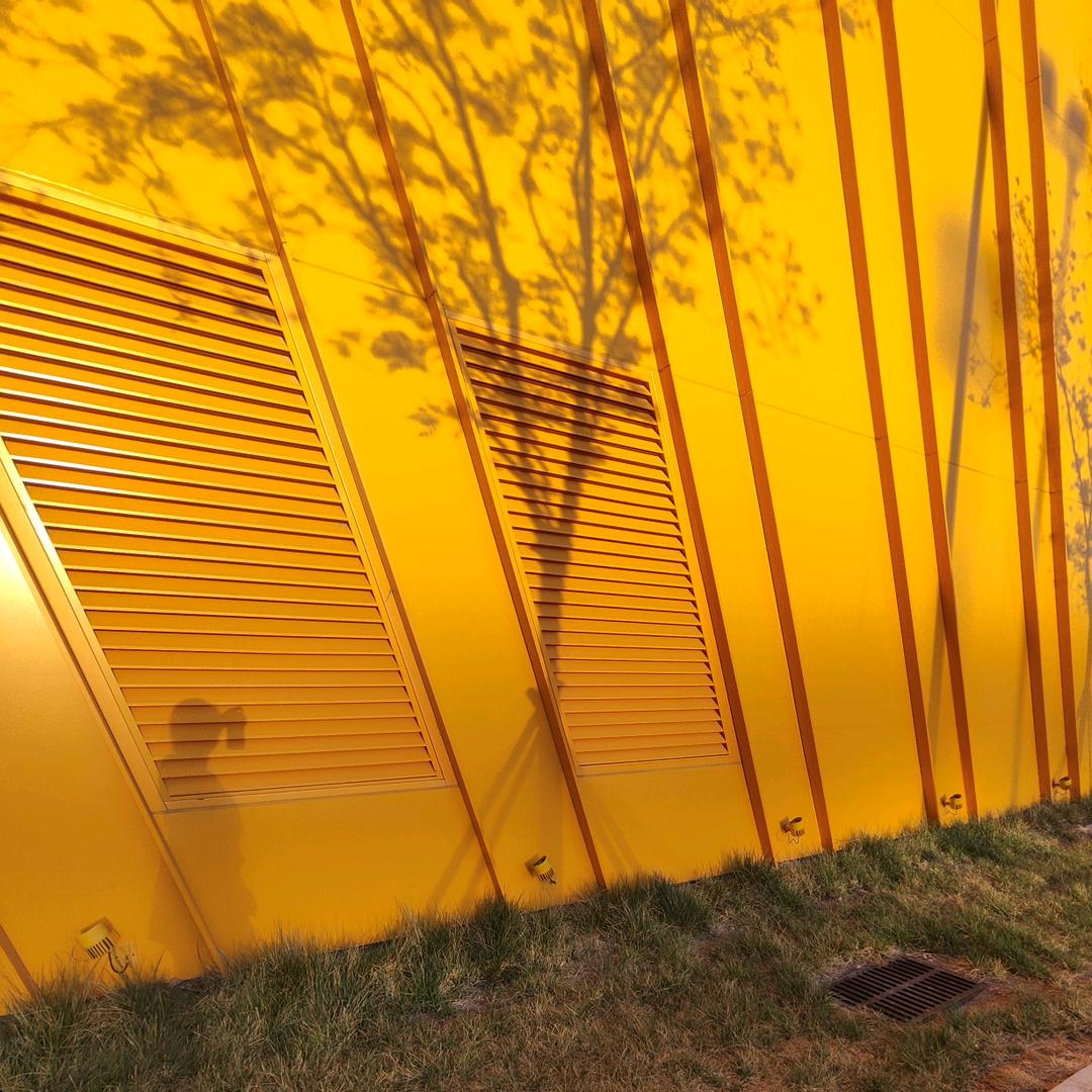 为了学习，开了直播