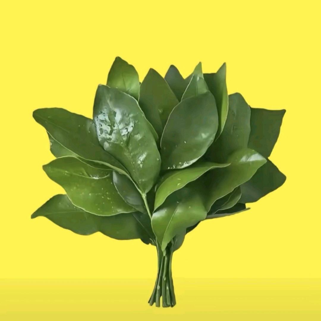 扯淡的爱越扯越淡