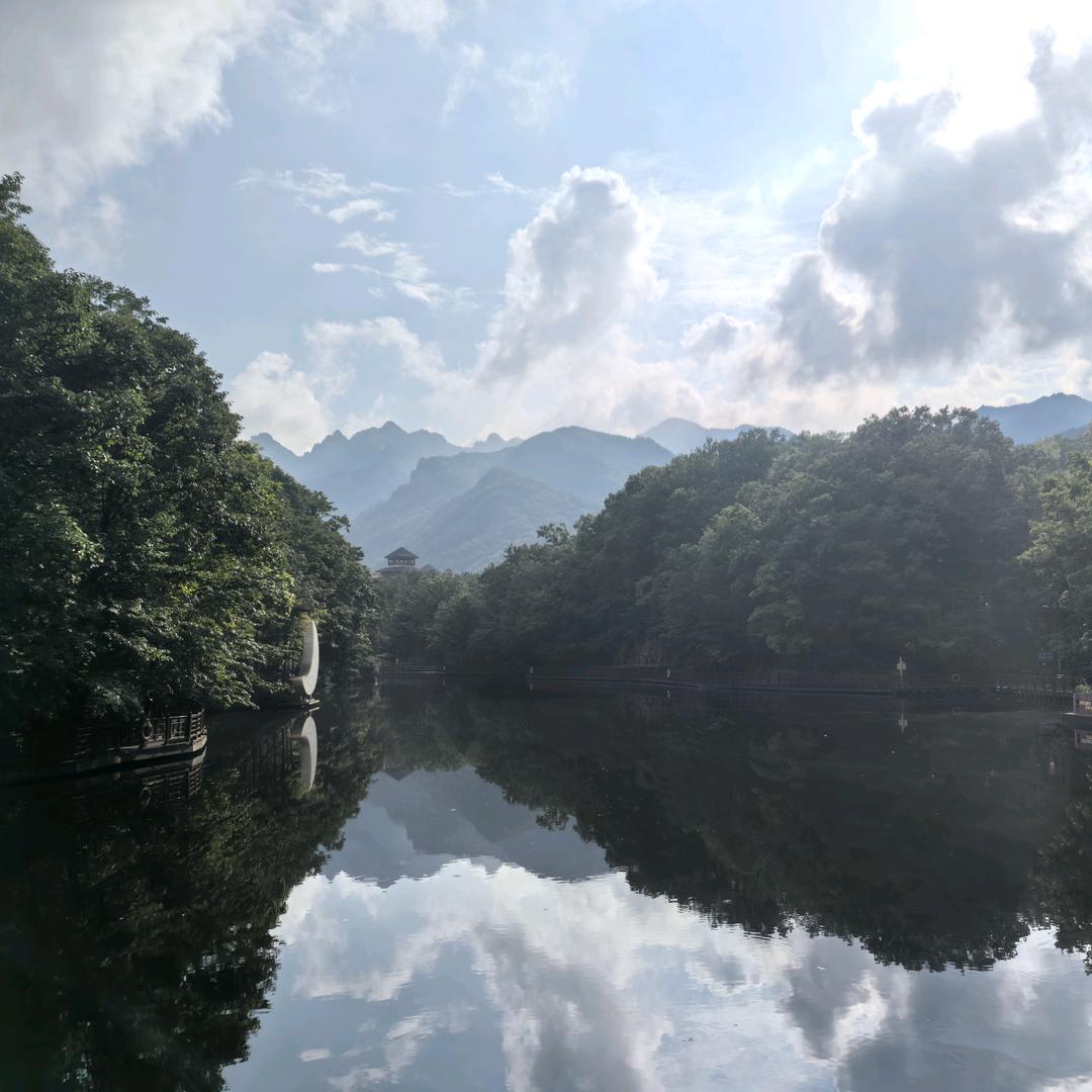甲木承渊