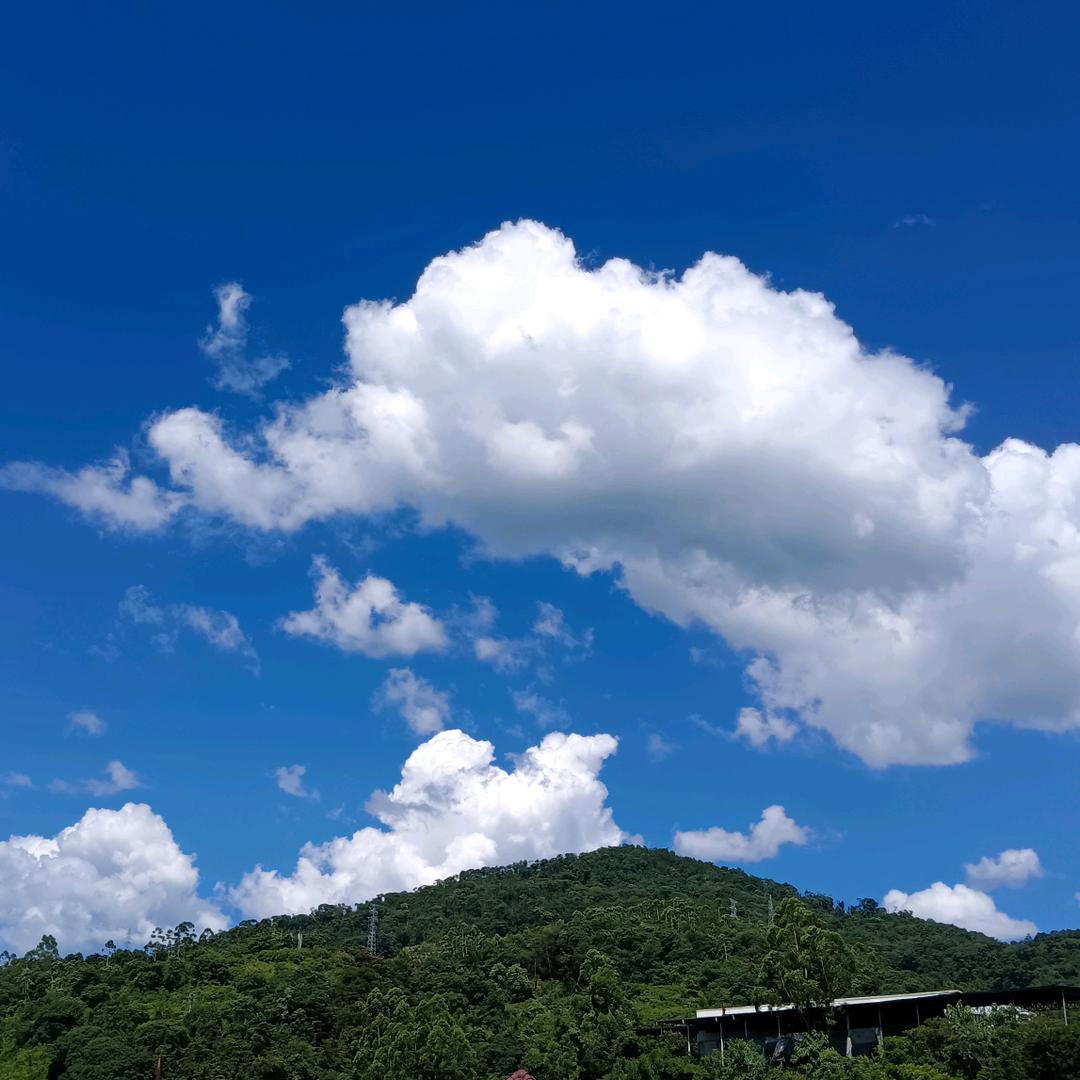ᥫᦸᐝ大叔༒ꦿ࿐: