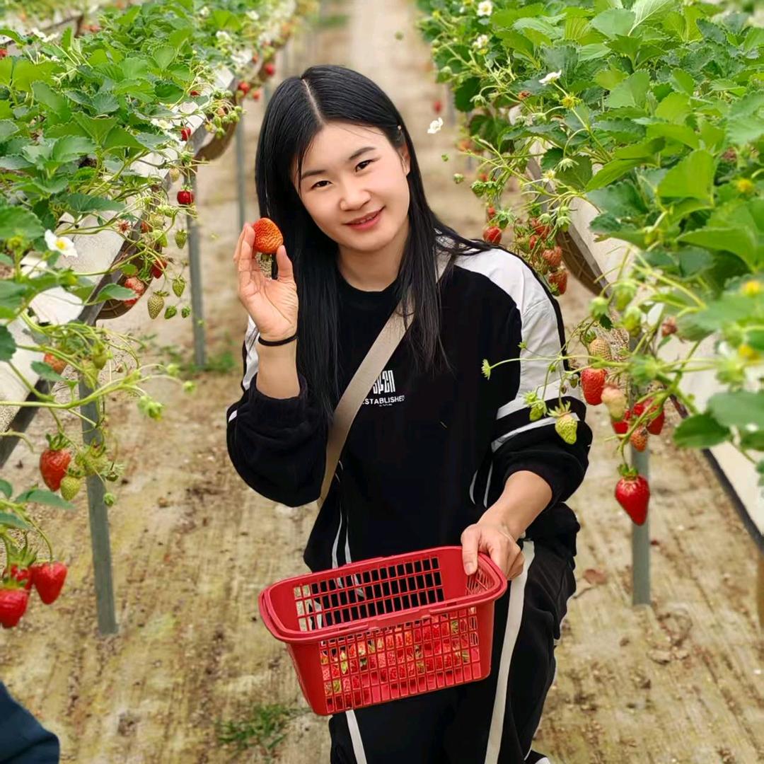 眼妹每天日常