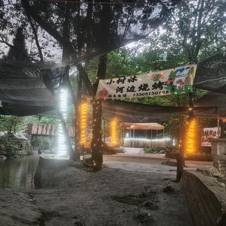 小树林河边烧烤