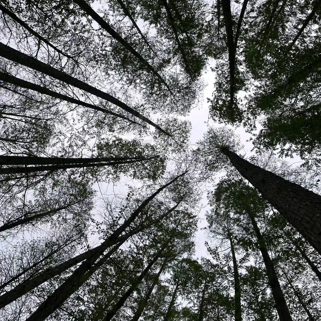 @过往ღᩚ不念🪶𓂋