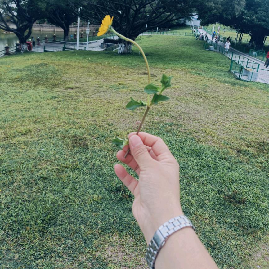 笑脸赢人脉《拒绝连赞哦》