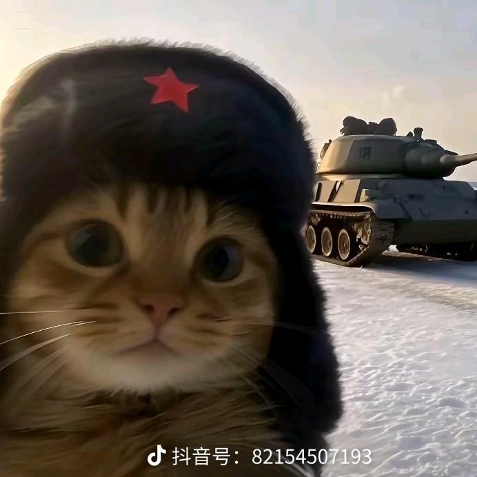 荧惑🇨🇳