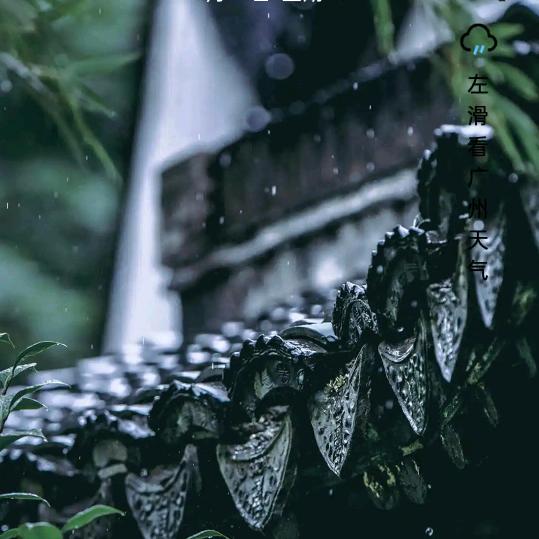 只想过好每一天