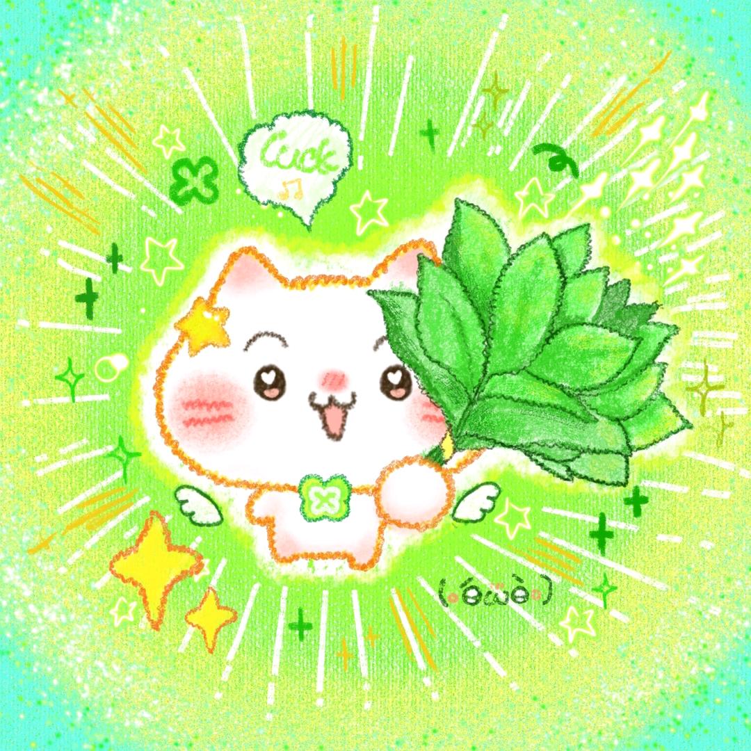 芝士猫