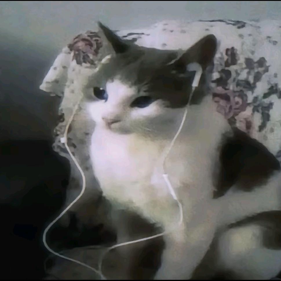 失恋角落玩弹簧