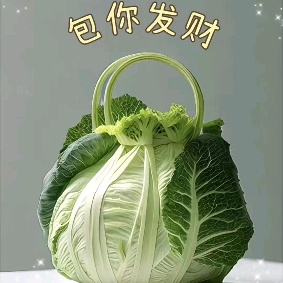 七瞳安
