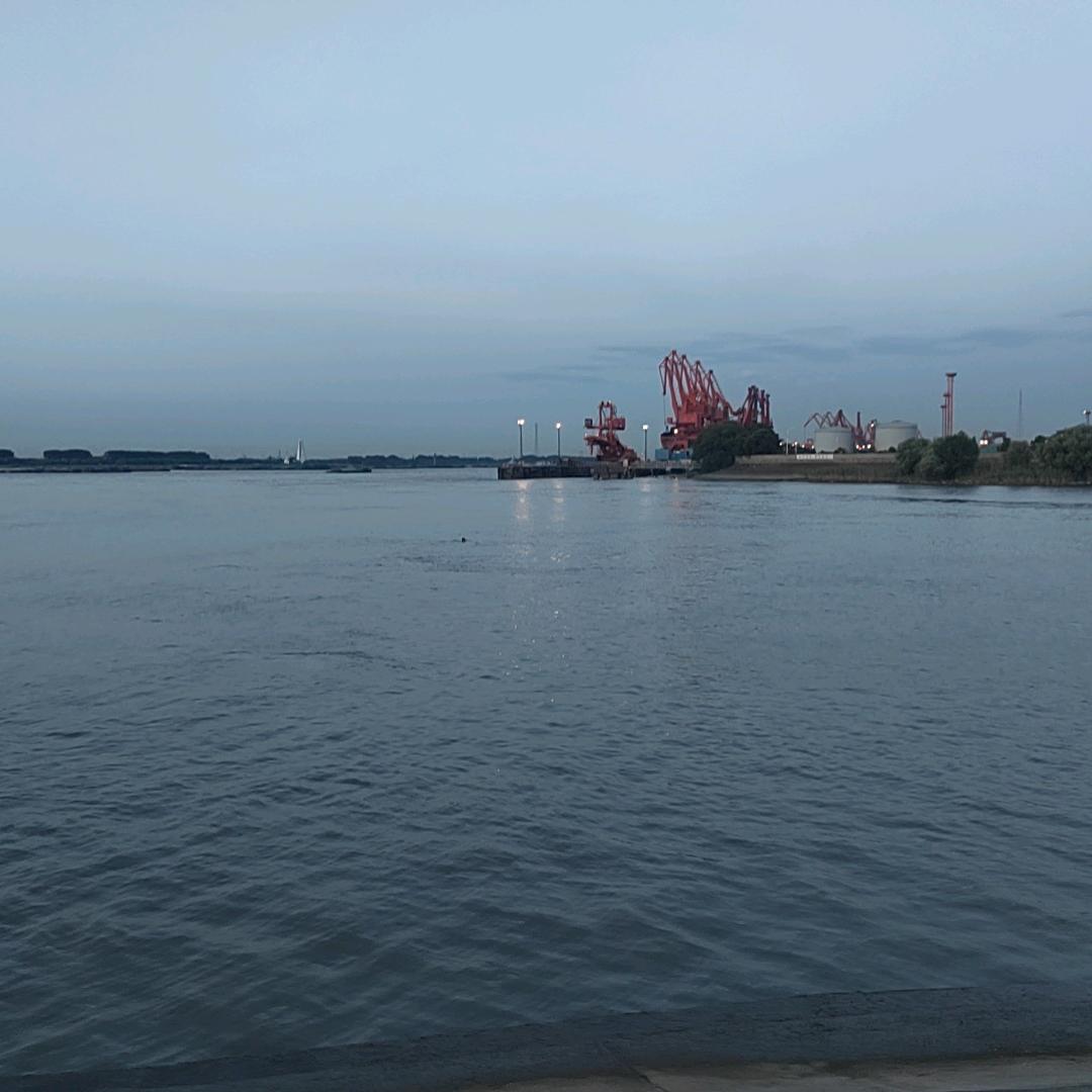 爱你一生