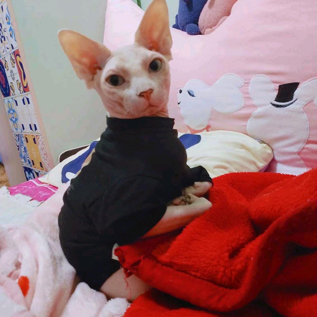 七月：记录美好生活