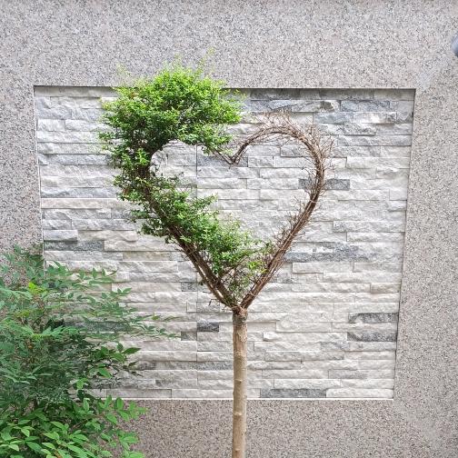林时工