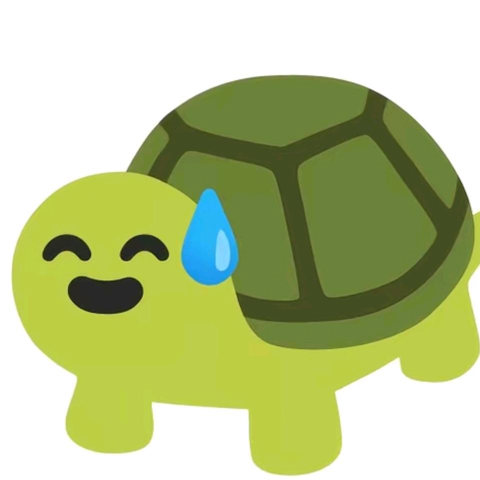 忧郁小乌龟