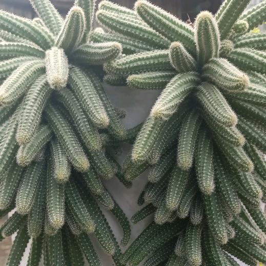 用户1499570263276人生如梦