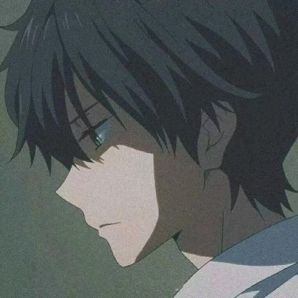 苏木浔