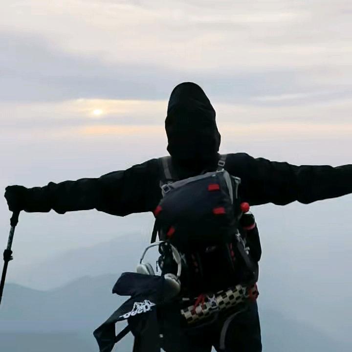 七七是只哈士奇