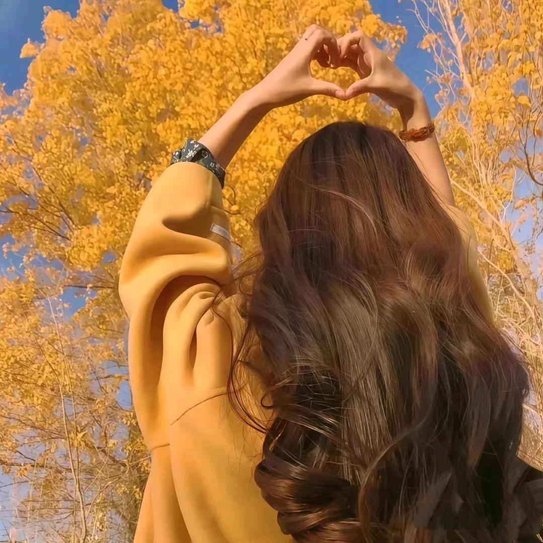 豆豆证书咨询