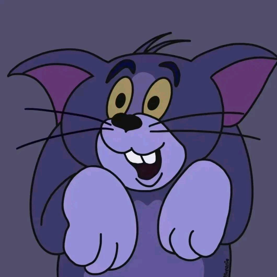 汤姆猫