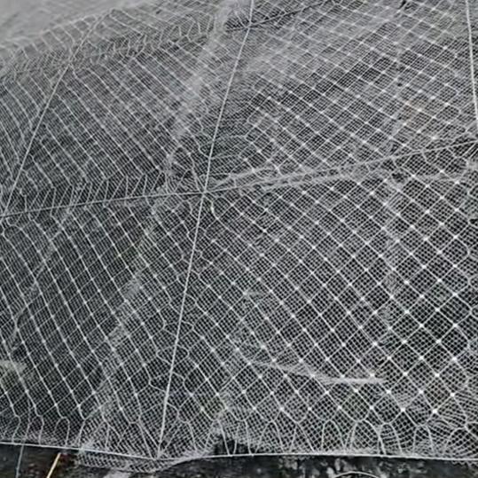 用户1127082656220