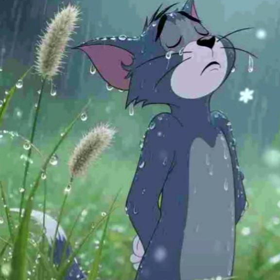 淋雨的汤姆