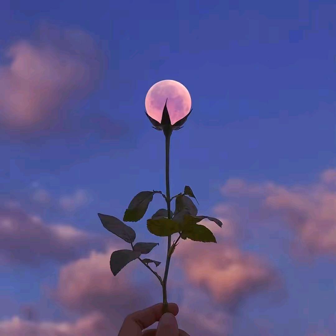 一轮月