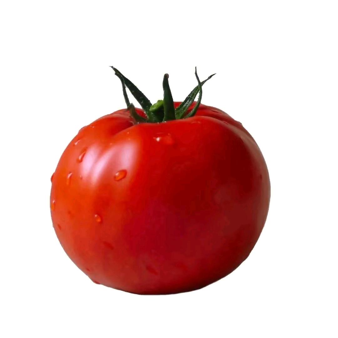 西红柿🍅炒西兰花🥦