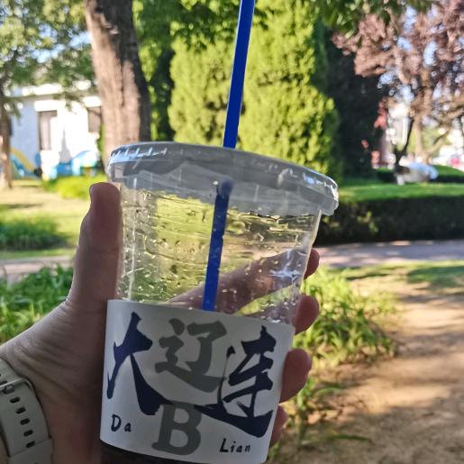 北极熊🐻‍❄️🐻‍❄️