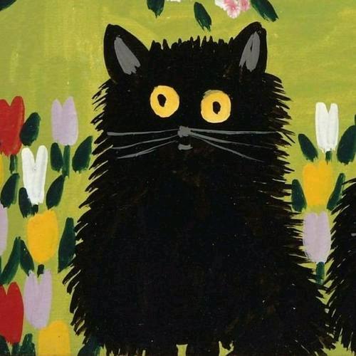 猫如果