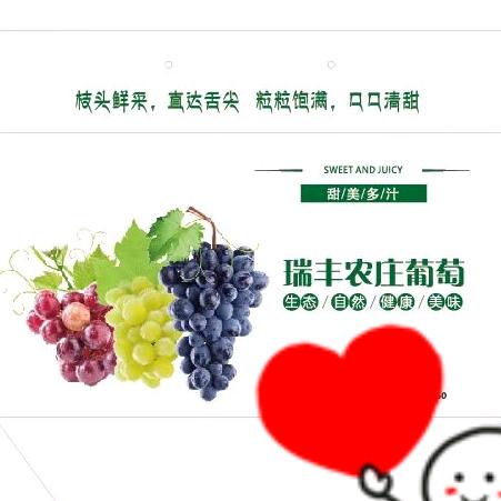 @十一月（江渠瑞丰葡萄）