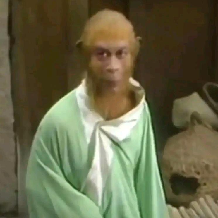 花果山双花红棍SWK