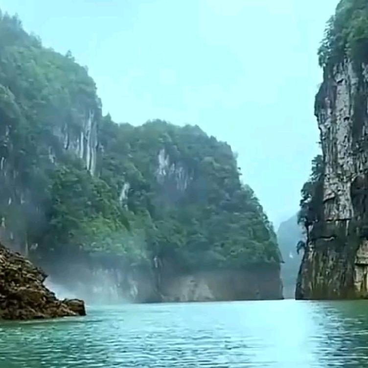 刘梦想