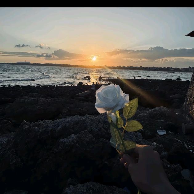 沪梓叱