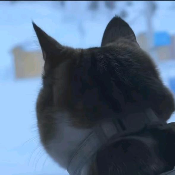 季节轮变我们不变