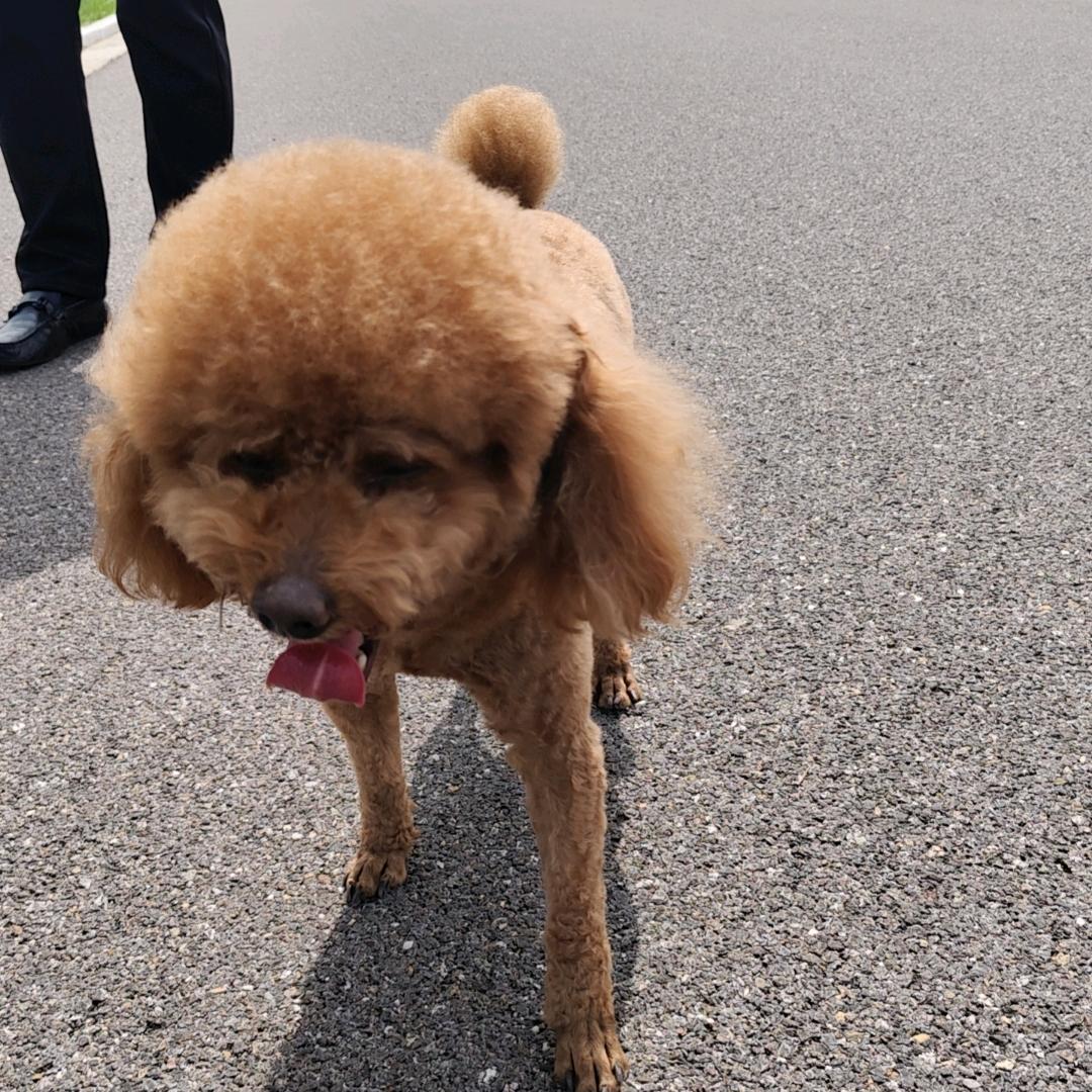 努力学习考注册道路