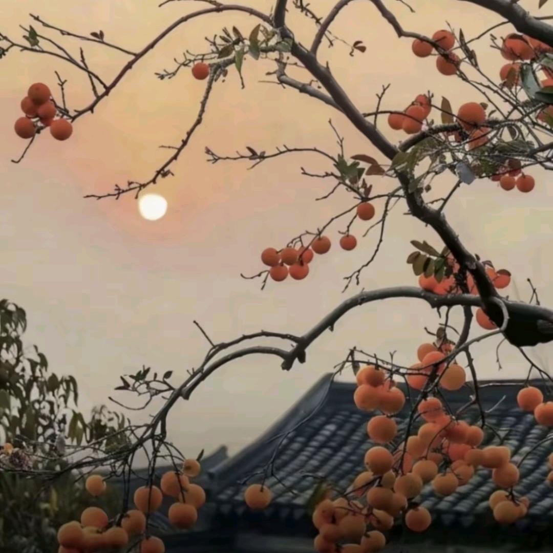 趣跃食品