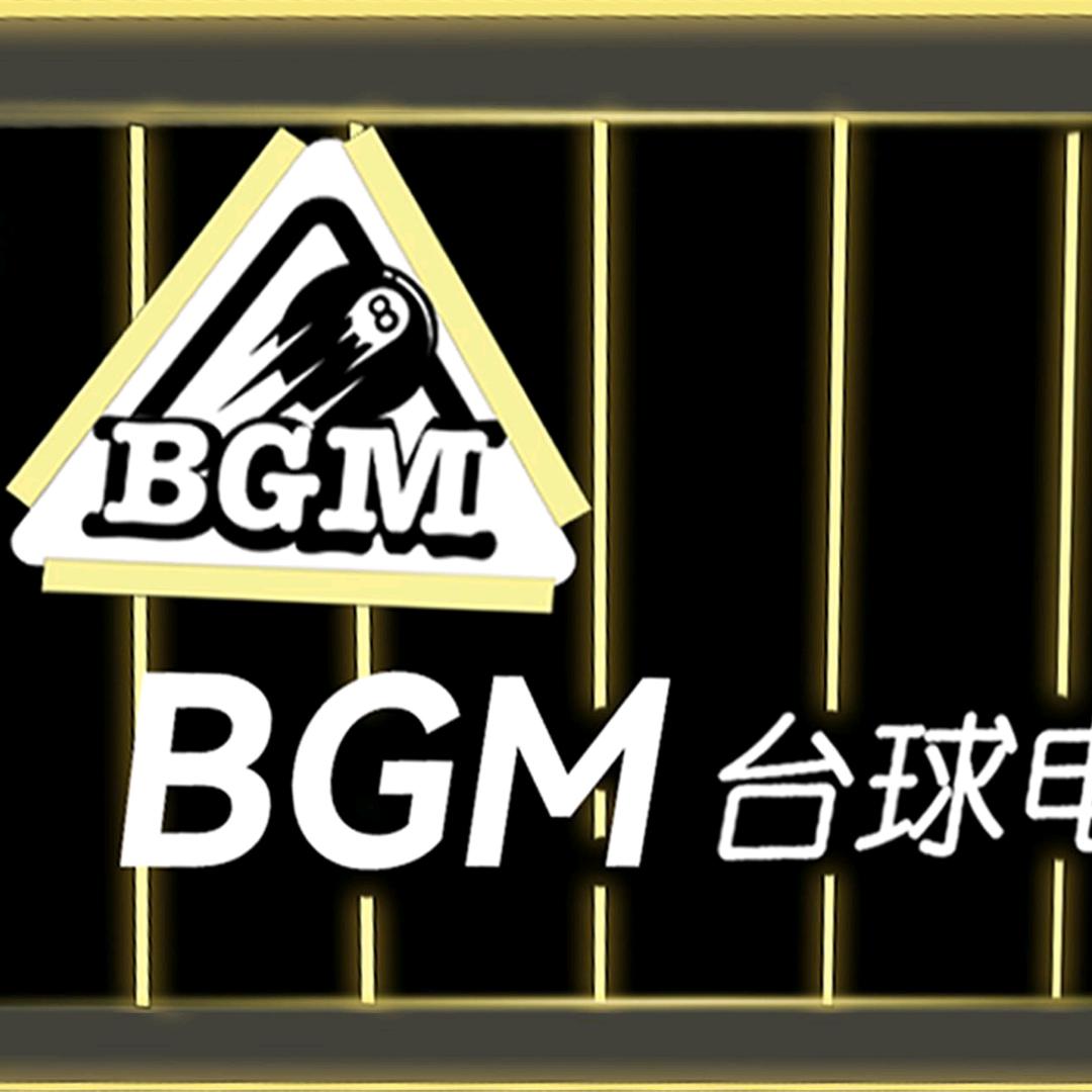 唐河BGM台球电玩
