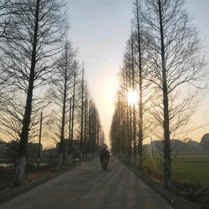 碧落