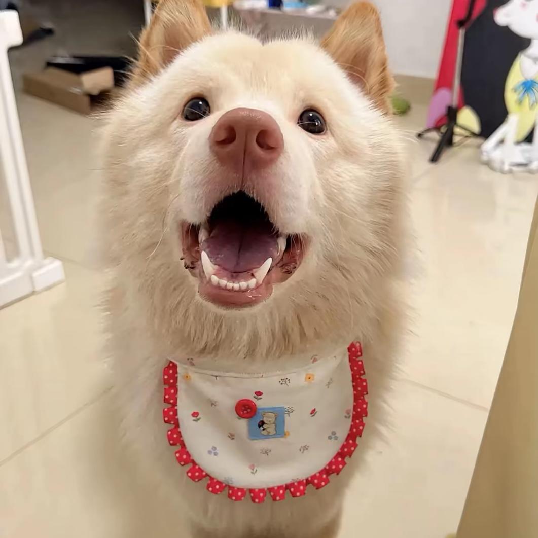 ★。♪₊°🍀幸運が訪れる★。°