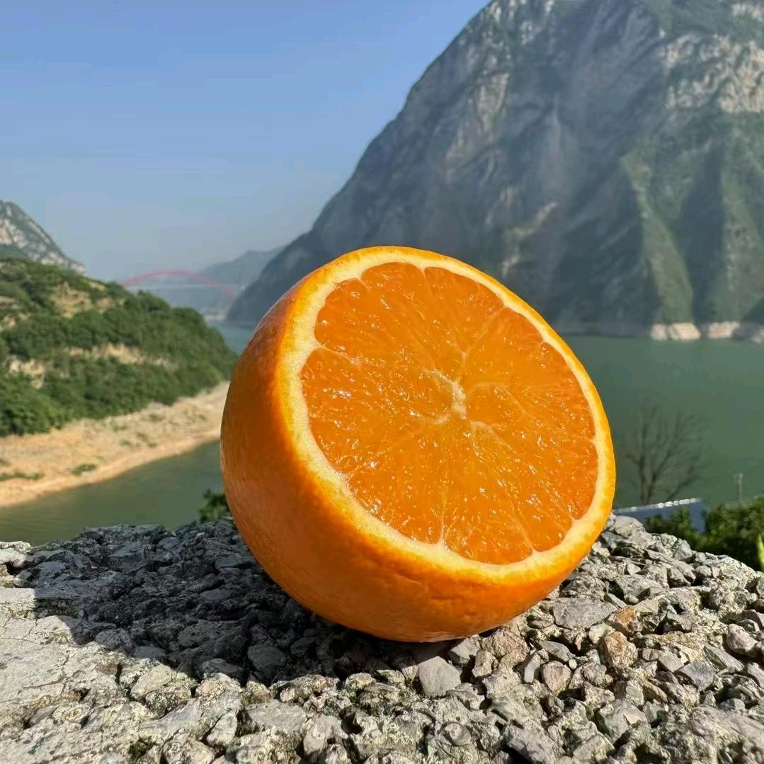 花果园小铺