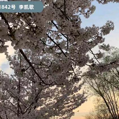 用户12358965
