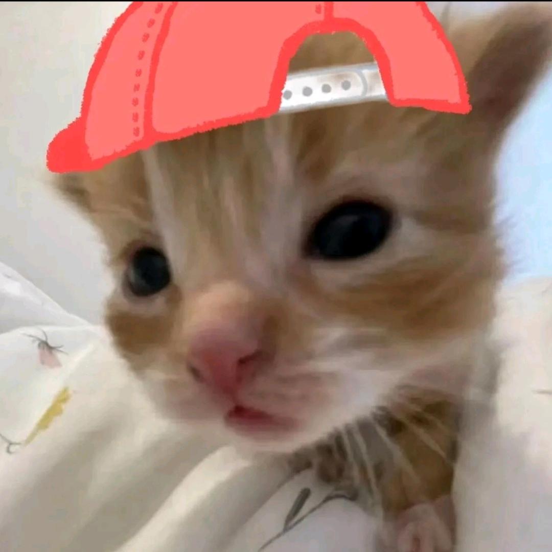 有志气的小靳🎈🤗