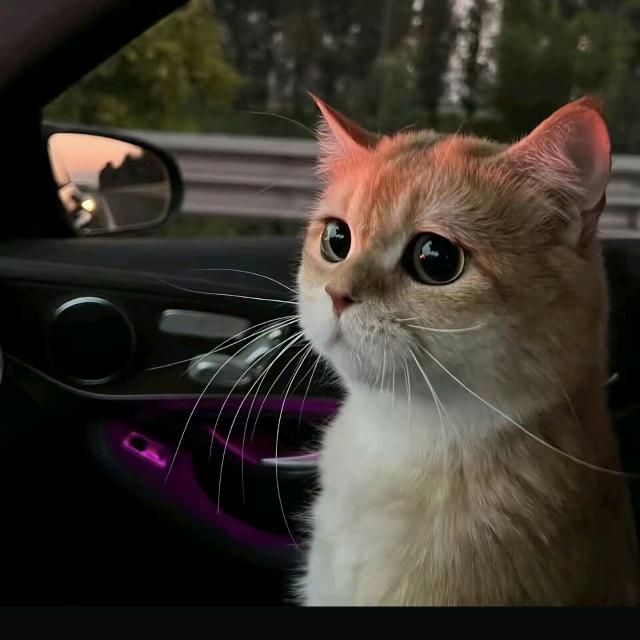 ﷽𒐫﷽𒐫﷽𒐫﷽𒐫﷽𒐫﷽: ﷽﷽